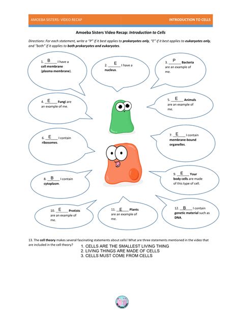 amoeba sisters video recap introduction to cells answer key|amoeba sisters cell diagram.